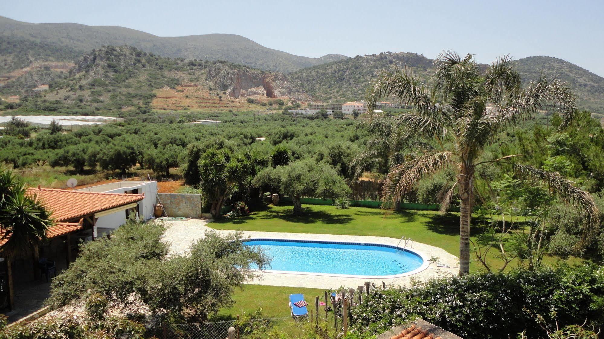 Ibiscus Hotel Malia Exteriör bild